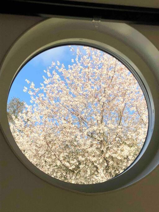 Villa Lyckehusen Löddeköpinge 외부 사진