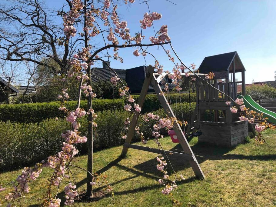 Villa Lyckehusen Löddeköpinge 외부 사진